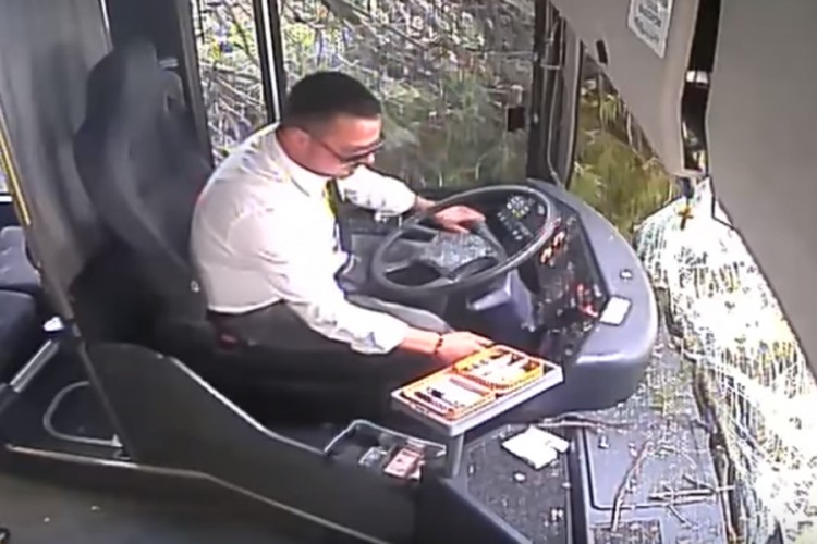 Pogledajte reakciju vozača kada je stablo palo na autobus