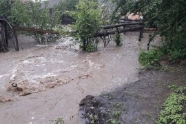 Zaplavljeno nekoliko kuća u Čađavici