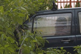 Vjetar srušio drvo na automobil u banjalučkom naselju Rosulje
