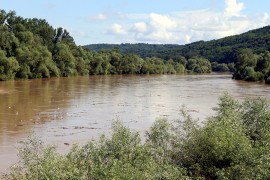 Velika Morava nabujala, nosi velike količine smeća