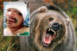 Rus odgrizao medvjedu jezik