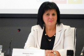Golić: Parcelacija za autoput i gasovod u skladu s Prostornim planom