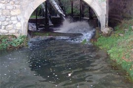 U Vojvodini više od 500 zagađivača