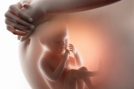 U toaletu aviona pronađen fetus, putnici evakuisani
