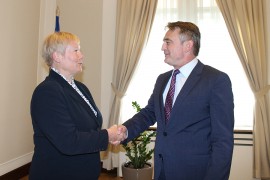 Komšić se izvinio Homanovoj zbog Dodika