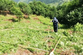 Od mina očišćena 14.793 metra kvadratna