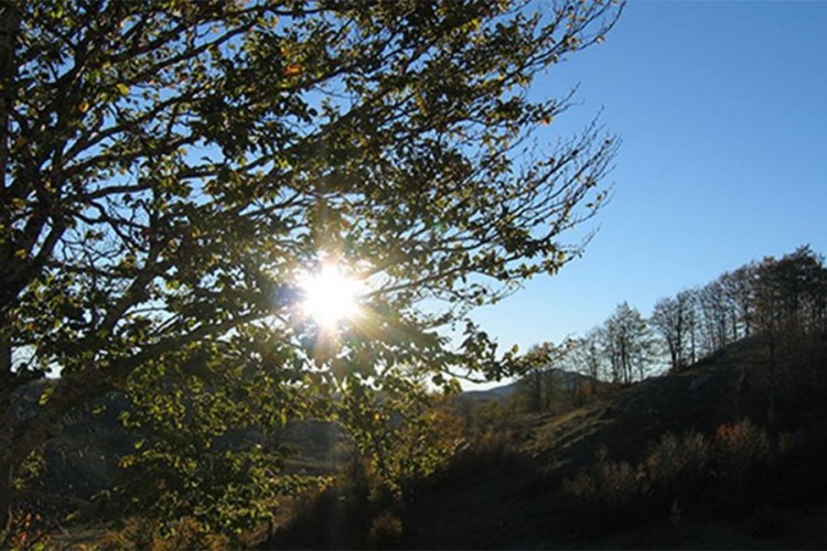 Pretežno sunčano