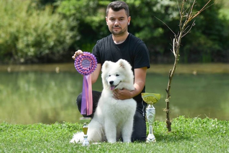 Pas Mia najljepše štene u Evropi