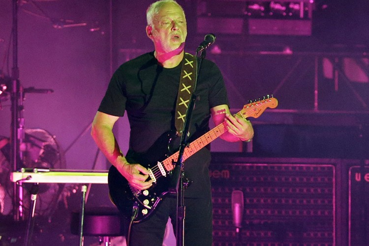 Gilmor prodao 127 gitara na aukciji, prihod doniran za zaštitu planete