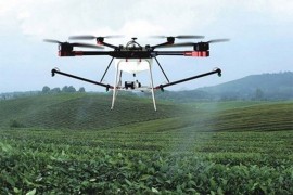 Dronom staju u kraj kradljivcima povrća