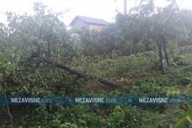 Milionske štete od nevremena u Srpcu, dio opštine i dalje bez struje ...