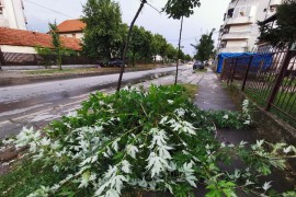 Nevrijeme u Bijeljini uništilo plastenike i usjeve