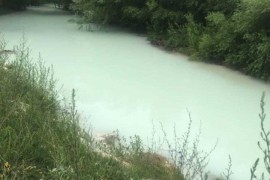 Inženjer iz TE Pljevlja priznao da je kriv za pomor ribe