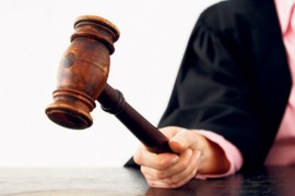 Živaniću godina zatvora zbog utaje poreza