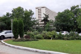 Trudnica iz Bijeljine spasila dječaka od utapanja na Halkidikiju