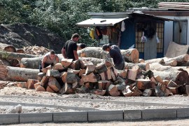 Zabrana izvoza trupaca iz BiH još na čekanju, tek formirana radna ...