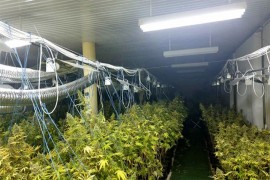 Otkrivena velika laboratorija za proizvodnju droge u Banjaluci