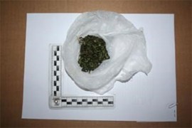 Pas otkrio skoro pola kilograma marihuane u automobilu