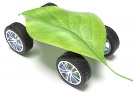 Uskoro automobilski dijelovi od nejestivih biljaka?