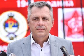 Radojičić: O piralenu na Skupštini grada, izrađuje se model za ...