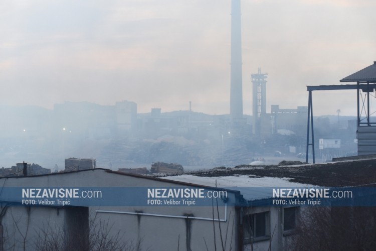 Rješenje problema sa piralenom u Incelu nakon rezultata analiza