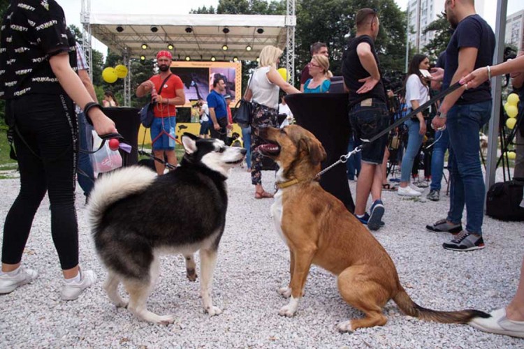 Tradicionalni događaj promocije odgovornog vlasništva pasa