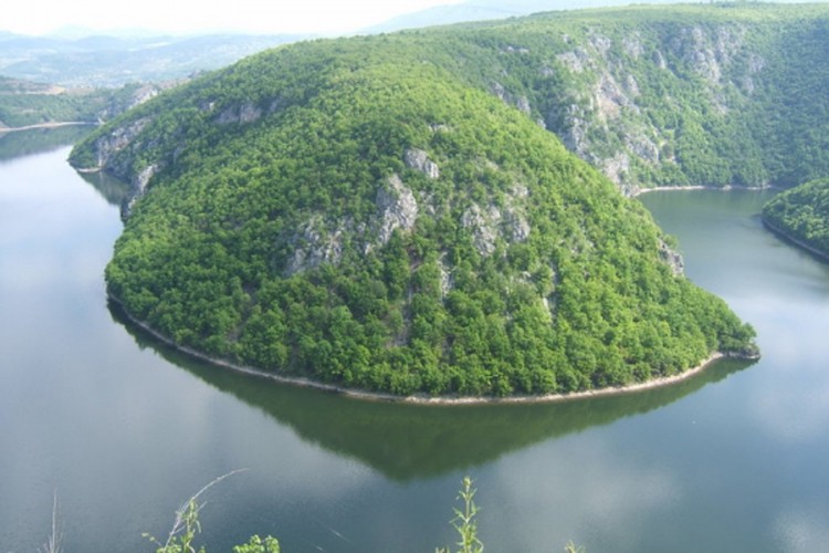 U kanjonu Vrbasa pronađene rijetke i ugrožene vrste biljaka