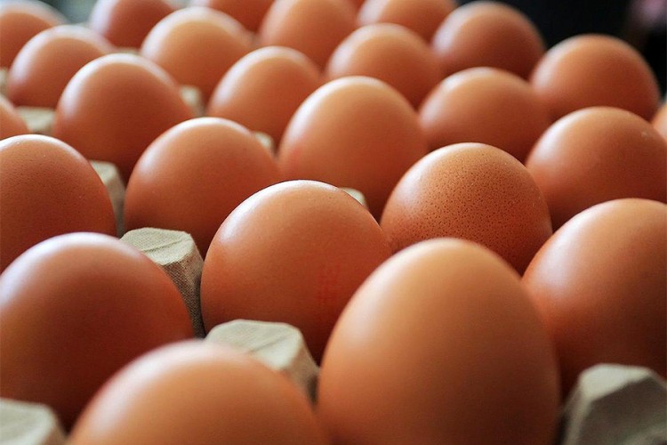 Bosni i Hercegovini odobren izvoz jaja u Evropsku uniju