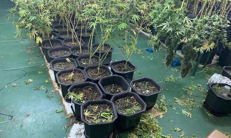 Na području Banjaluke pronađena još jedna laboratorija za proizvodnju droge