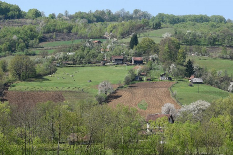 Užičaninu šest i po godina za pljačku i premlaćivanje starca u Banjaluci