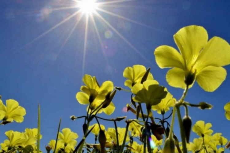 Za danas upaljen žuti meteoalarm