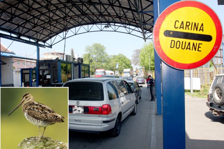 Bh. građani preko granica prenose od lijekova do mrtvih životinja