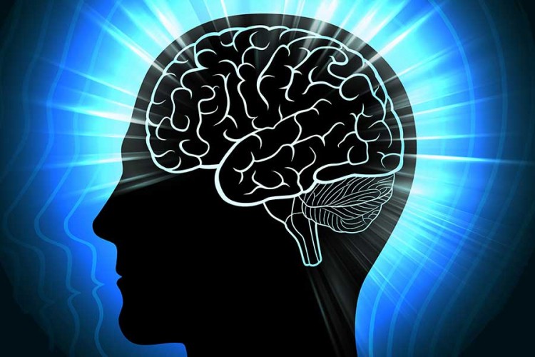 Neurolozi uspjeli da dekodiraju moždane impulse u pisani tekst