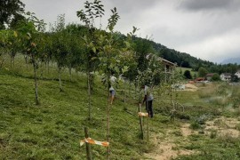 Migranti u Ključu pomažu mještanima: Kose travu i kupe sijeno