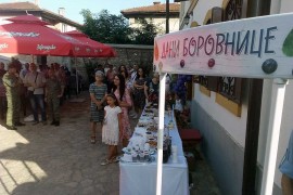 Dobar rod borovnice na Zelengori