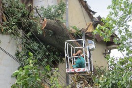 Vjetar drvo staro 100 godina oborio na kuću i prepolovio je