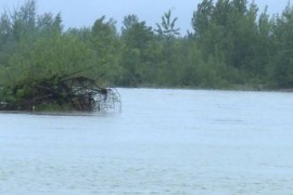 Nastavljena potraga za dvojicom utopljenika u Savi kod Bijeljine