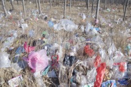 Potpuna zabrana plastičnih kesa u Njemačkoj