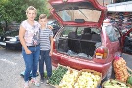 Vrijedne ruke dječaka iz gradiškog sela: Raspust proveo na njivi i ...