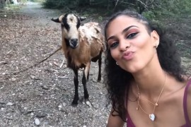 Htjela da napravi selfi s kozom pa se pokajala
