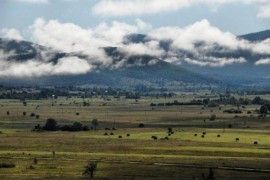 Srbi u FBiH pitaju potpisnice Dejtona: Da li postoji Aneks 7?