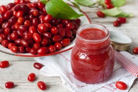 Drijen: Ljekovita biljka od kore do ploda