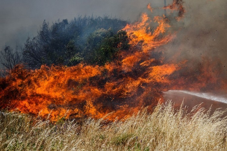 Vatrogasci za sedam mjeseci intervenisali 165 puta