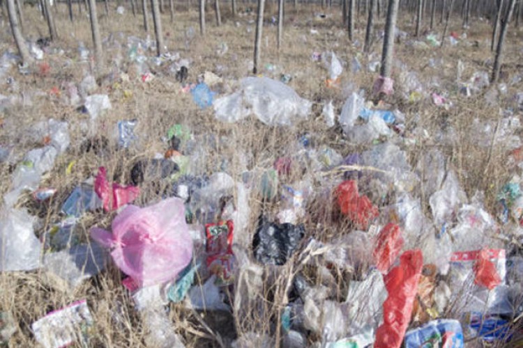 Potpuna zabrana plastičnih kesa u Njemačkoj