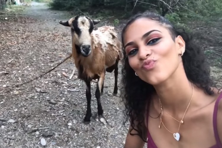 Htjela da napravi selfi s kozom pa se pokajala