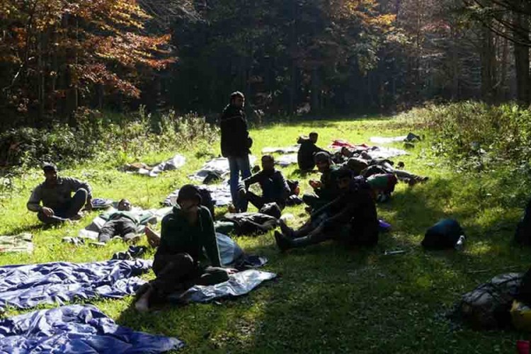 Migranti otjerali divljač