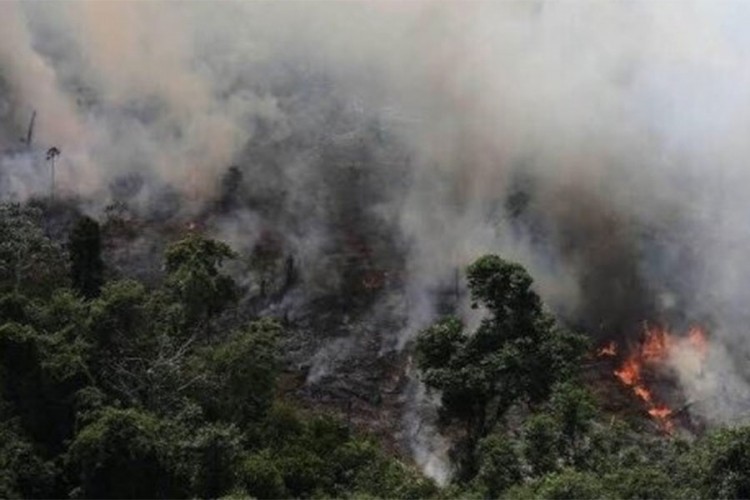 Sao Paolo utonuo u mrak usred dana
