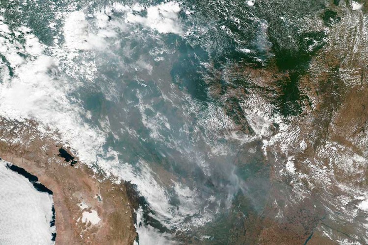 Domoroci Amazonije: Daće posljednju kap krvi da spasu šumu