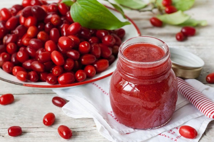 Drijen: Ljekovita biljka od kore do ploda