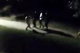Nova tuča migranata u Bihaću: Građani snimili nemile scene